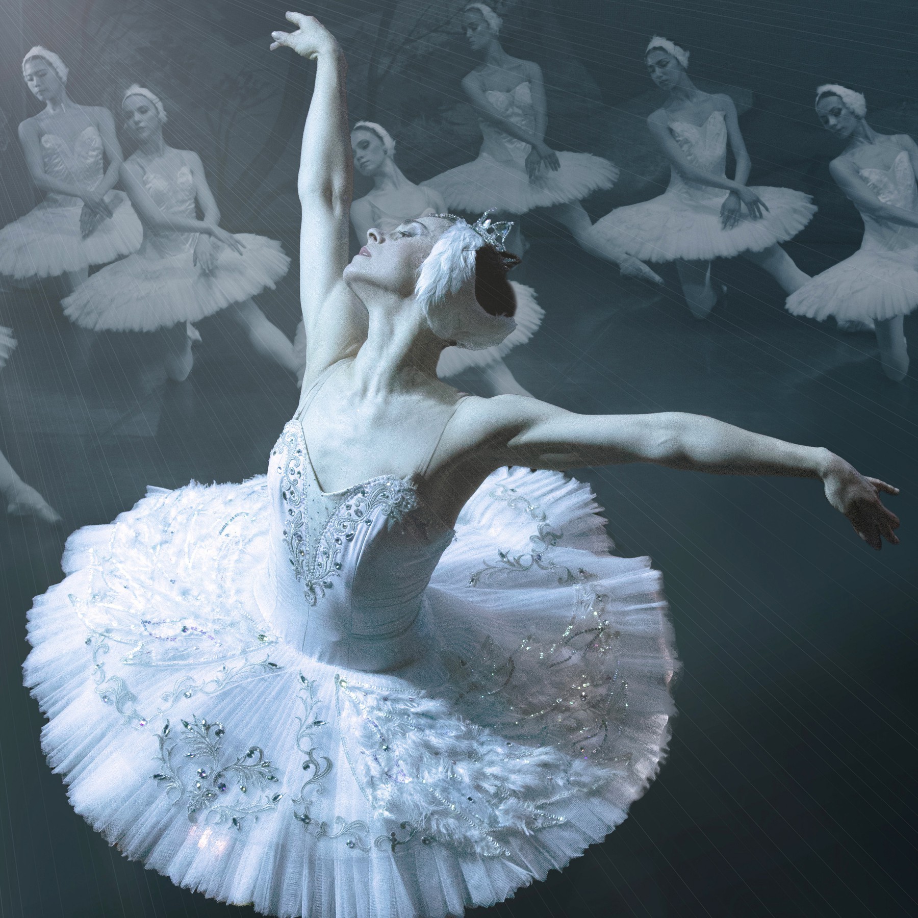 Ballet El Lago De Los Cisnes Para Niños