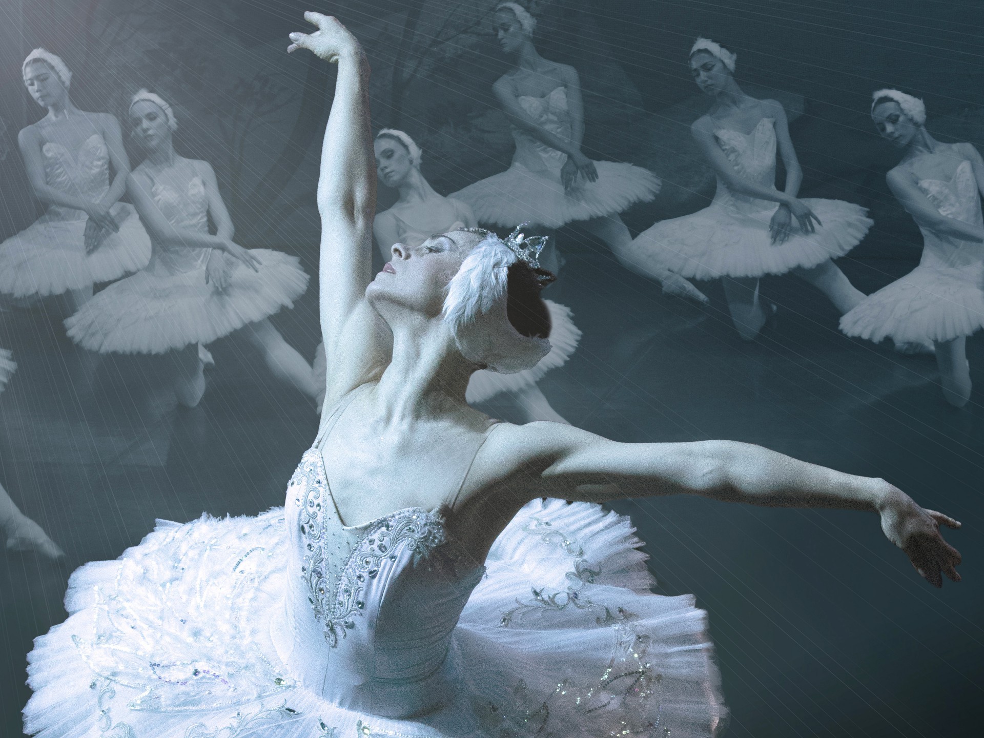 El Lago de los Cisnes