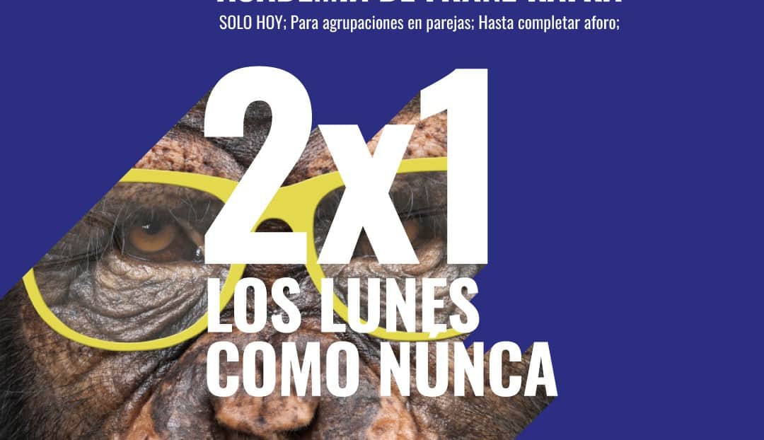 Imagen noticia - Los lunes como nunca: promoción 2x1 en Informe para una academia